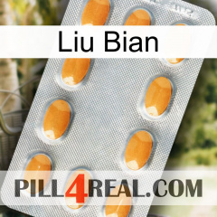 Liu Bian cialis3